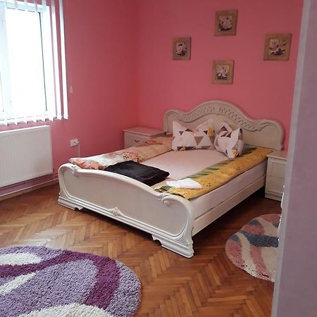 Appartement Casa Ade à Călimăneşti Extérieur photo