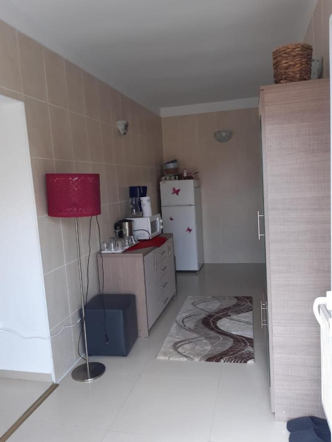 Appartement Casa Ade à Călimăneşti Extérieur photo