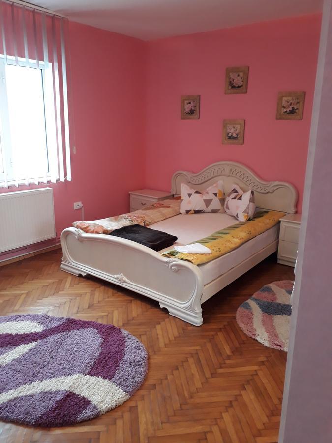 Appartement Casa Ade à Călimăneşti Extérieur photo