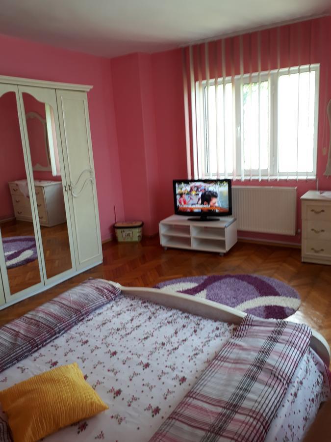 Appartement Casa Ade à Călimăneşti Extérieur photo