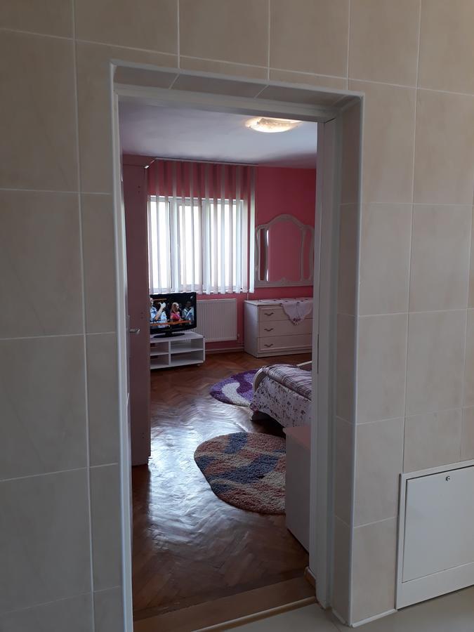 Appartement Casa Ade à Călimăneşti Extérieur photo