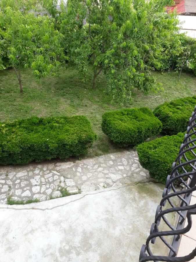 Appartement Casa Ade à Călimăneşti Extérieur photo