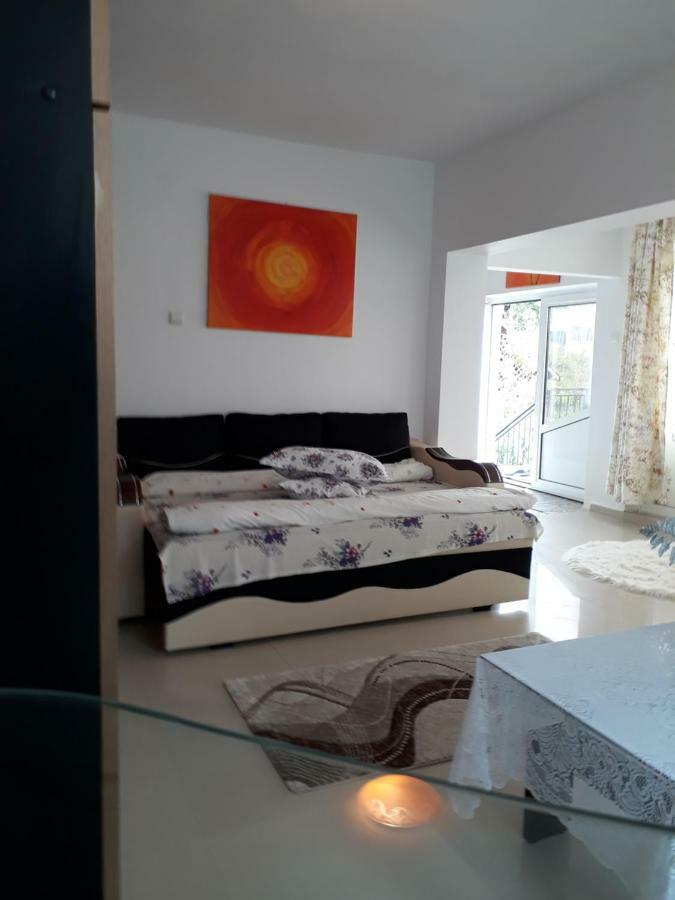 Appartement Casa Ade à Călimăneşti Extérieur photo